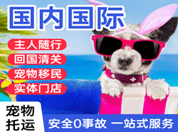 玉林福绵机场空运国际宠物托运 【国